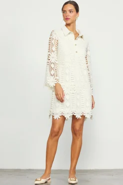 Embroidered Eyelet Lace Mini Dress