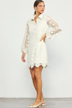 Embroidered Eyelet Lace Mini Dress