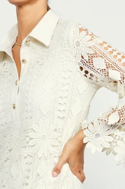 Embroidered Eyelet Lace Mini Dress