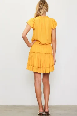 Satin Ruffled Sleeve Mini Dress