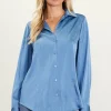 Shimmery Button Down Blouse