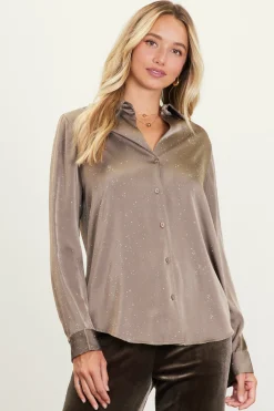 Shimmery Button Down Blouse