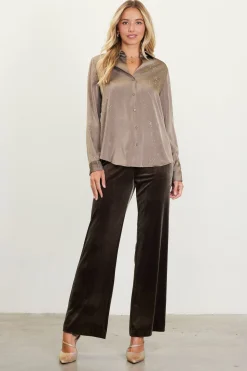 Shimmery Button Down Blouse