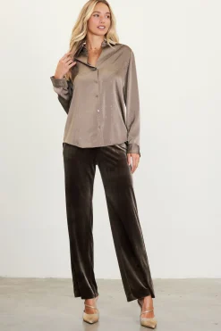 Shimmery Button Down Blouse