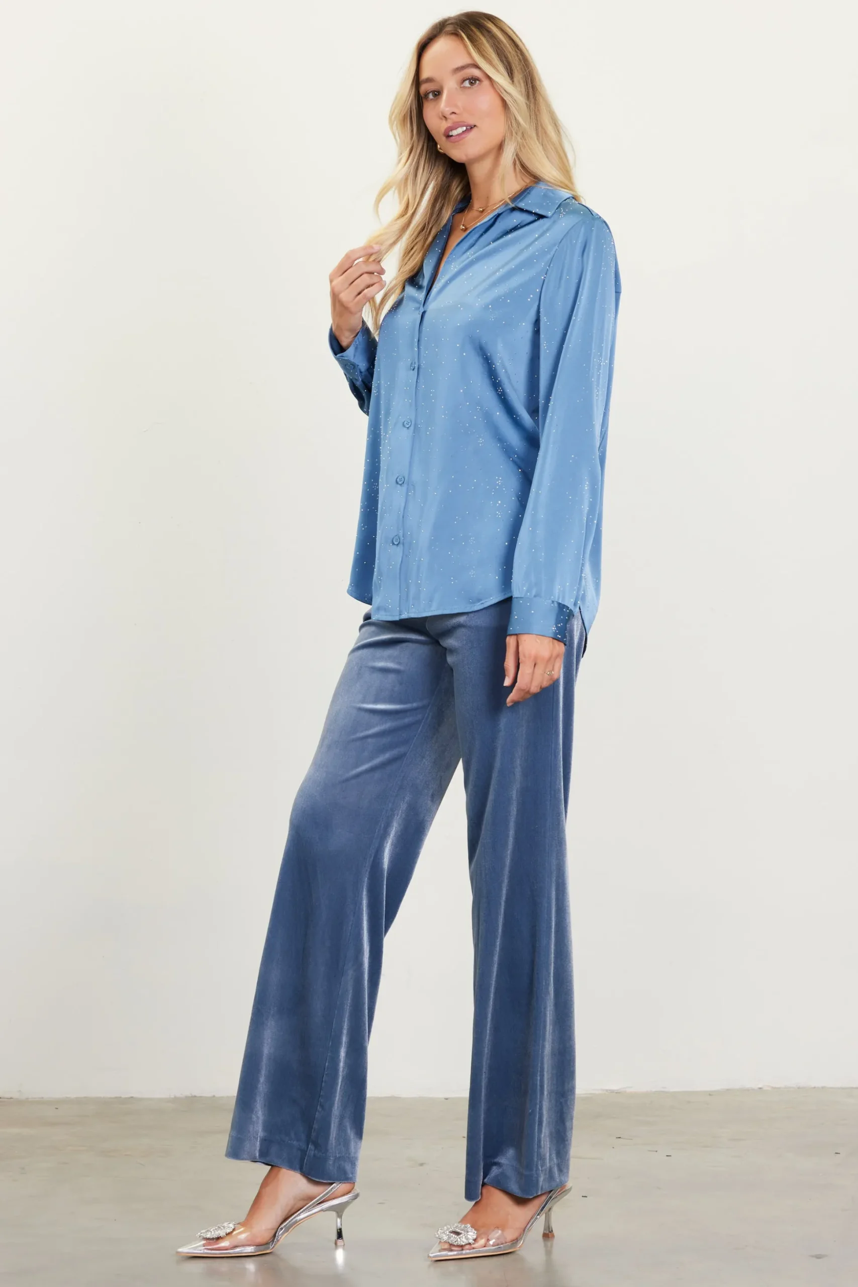 Shimmery Button Down Blouse